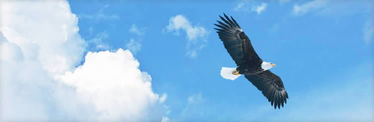 15663734755442976.jpg 15663734755442976.jpg