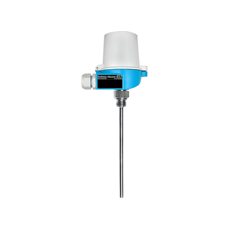 E+H ģ�黯�ȵ��� �¶ȼ� TR11-AADBHSCC3000 Endress+Hauser ����˹��˹