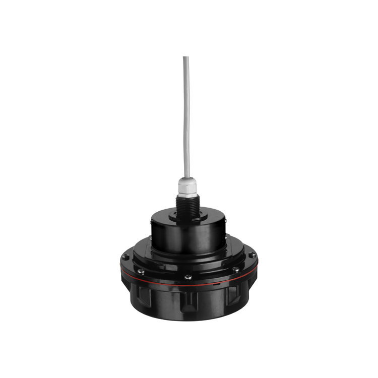 E+H ����ʽ������Һλ��̽ͷ FDU93-RG4A ������ Endress+Hauser ����˹��˹